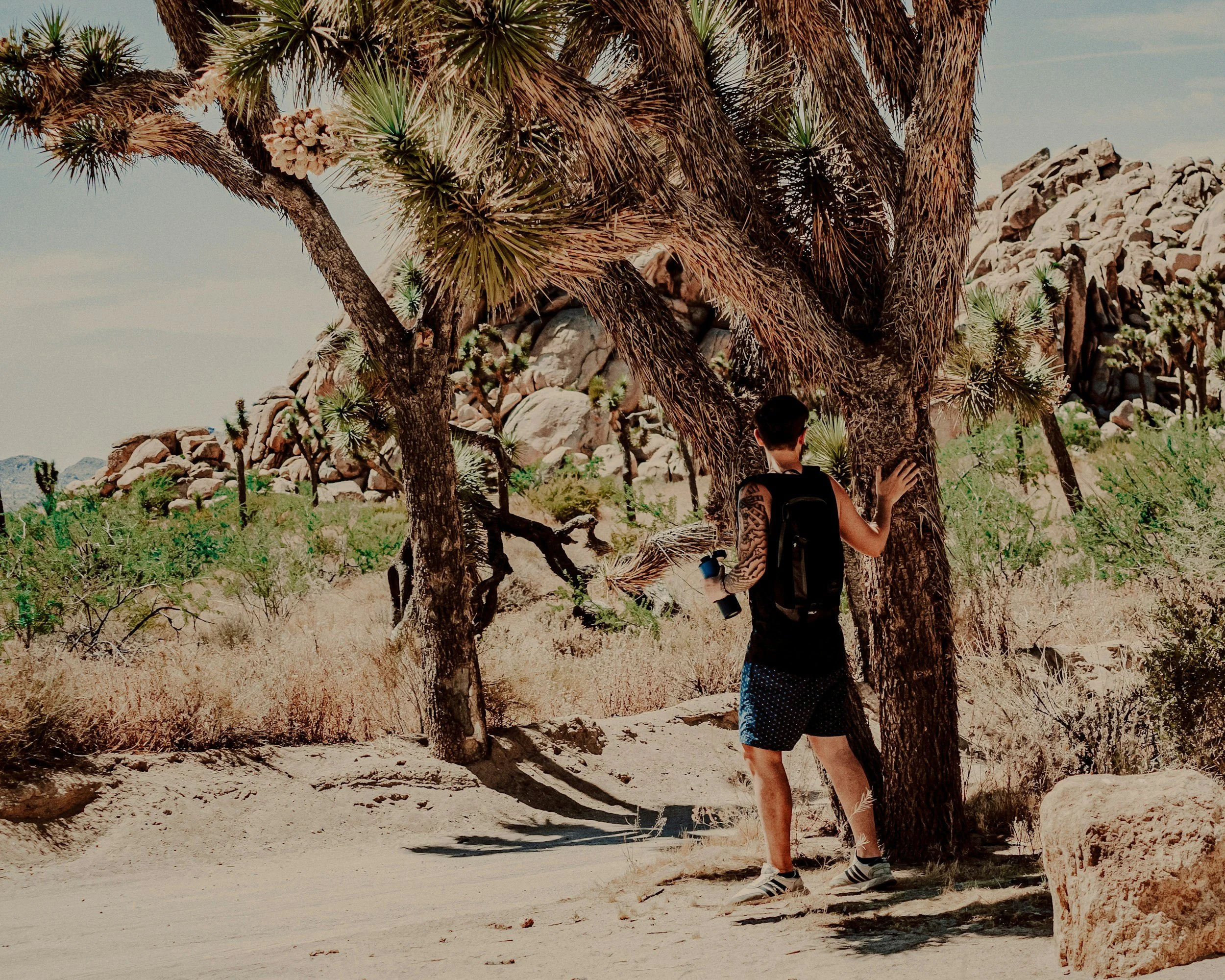 Grief and the attachment system: why loss hurts so deeply