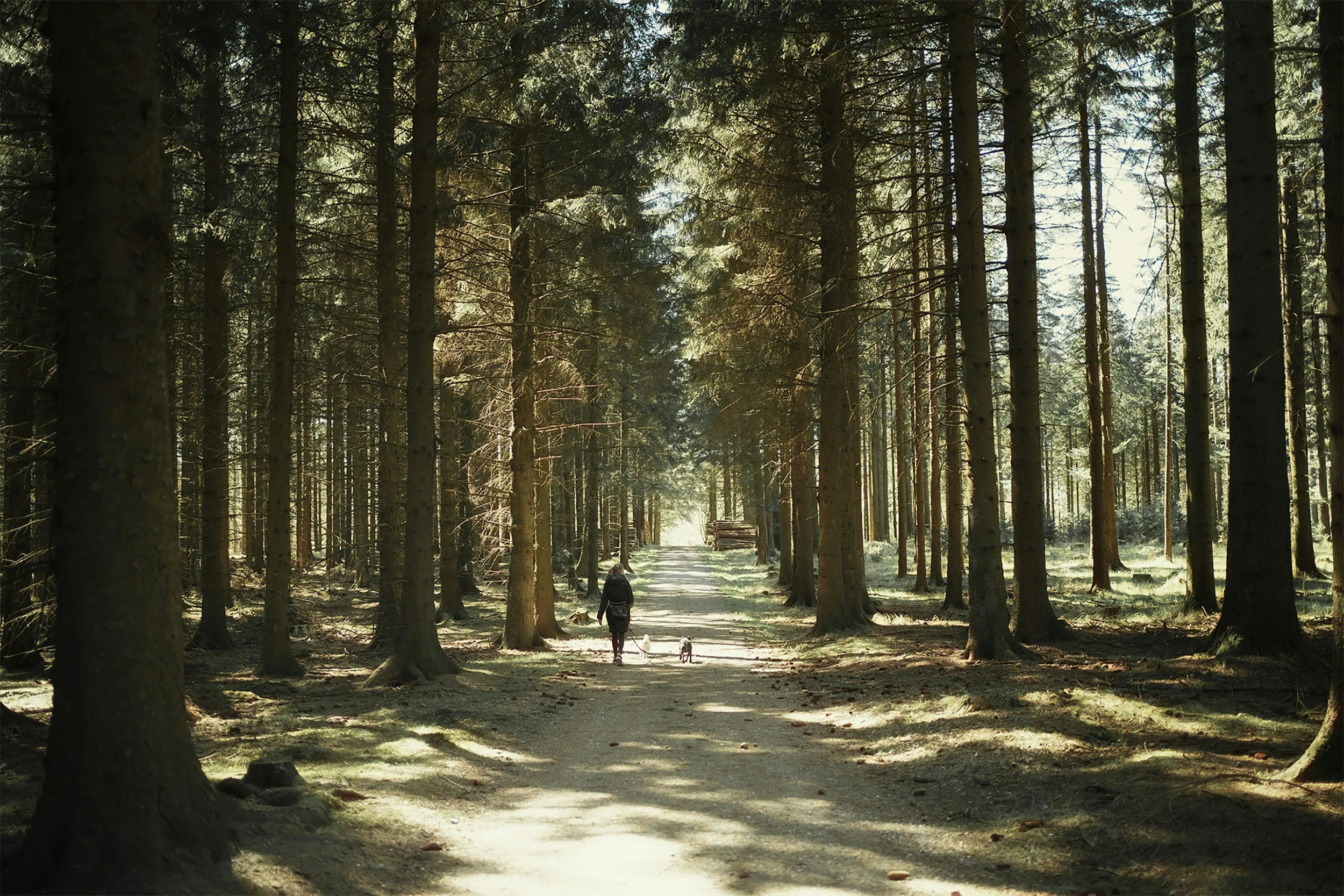 Nature-inspired practices for grief integration