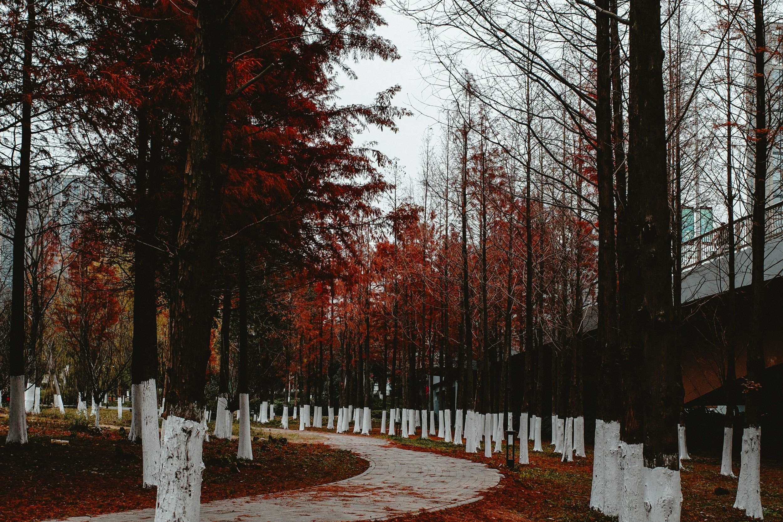 Listening to your body while on a grief journey