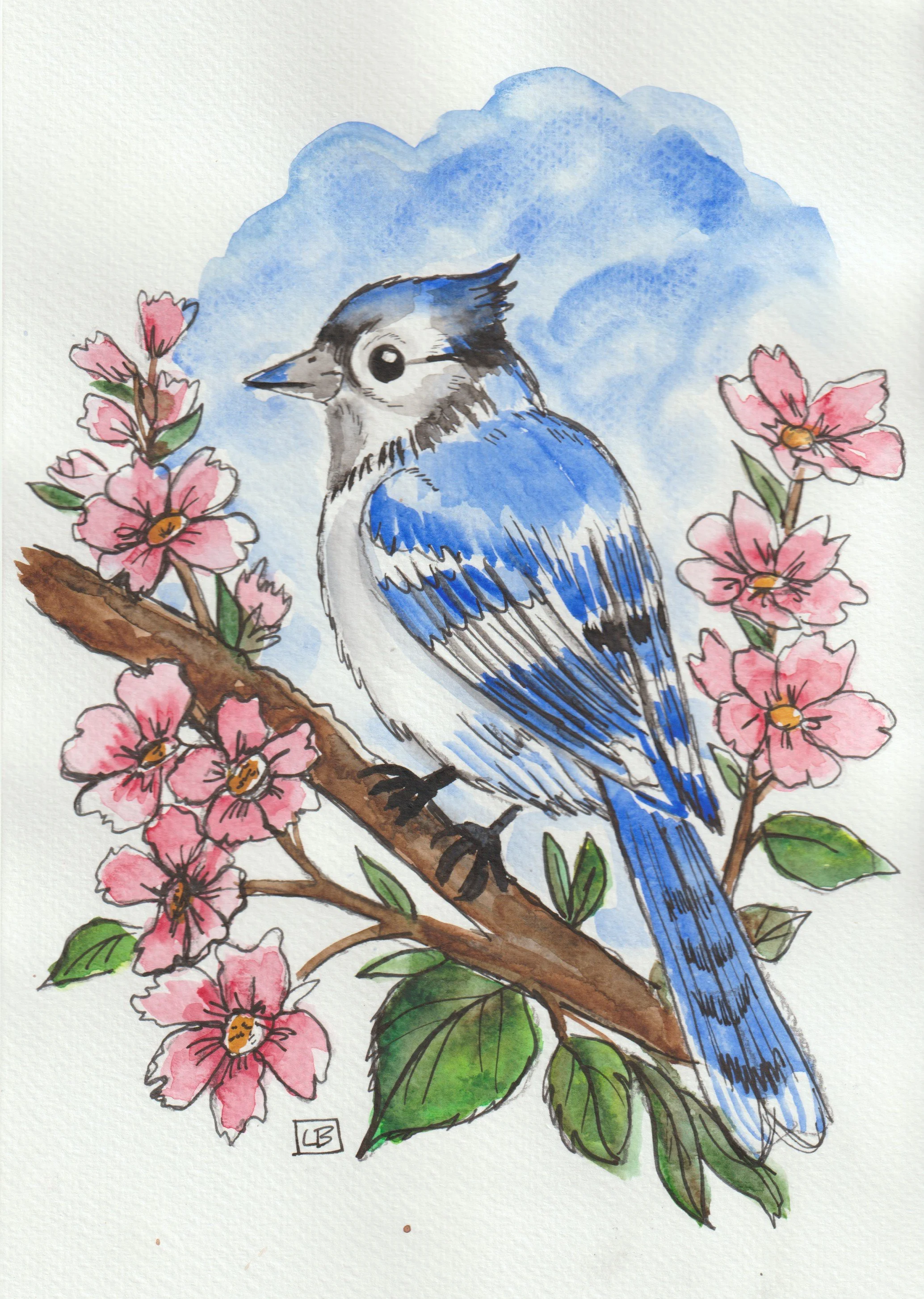 Bluebird2 001.jpg