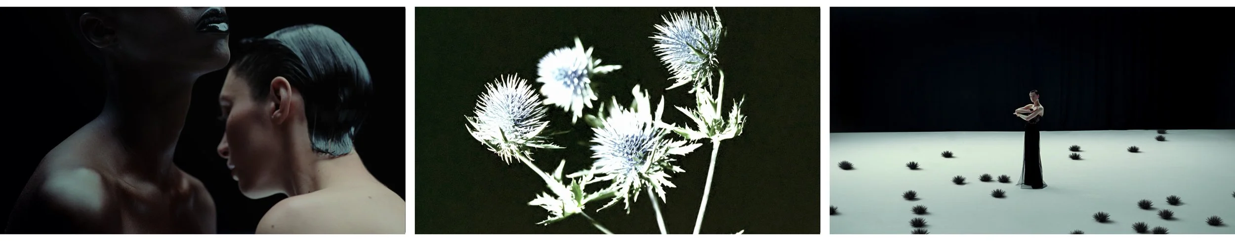 David Laport <br> <small> Nina Aaldering