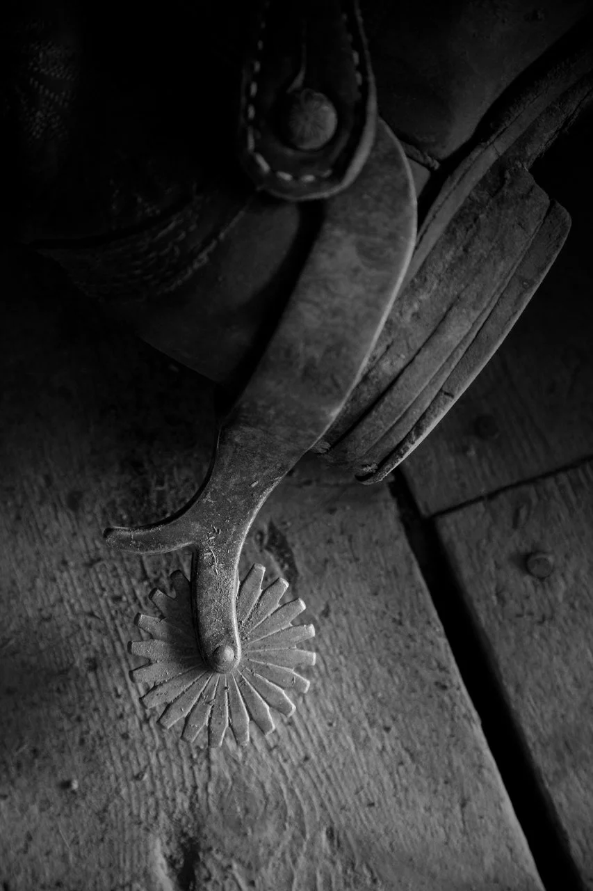 Western Still Life.jpg