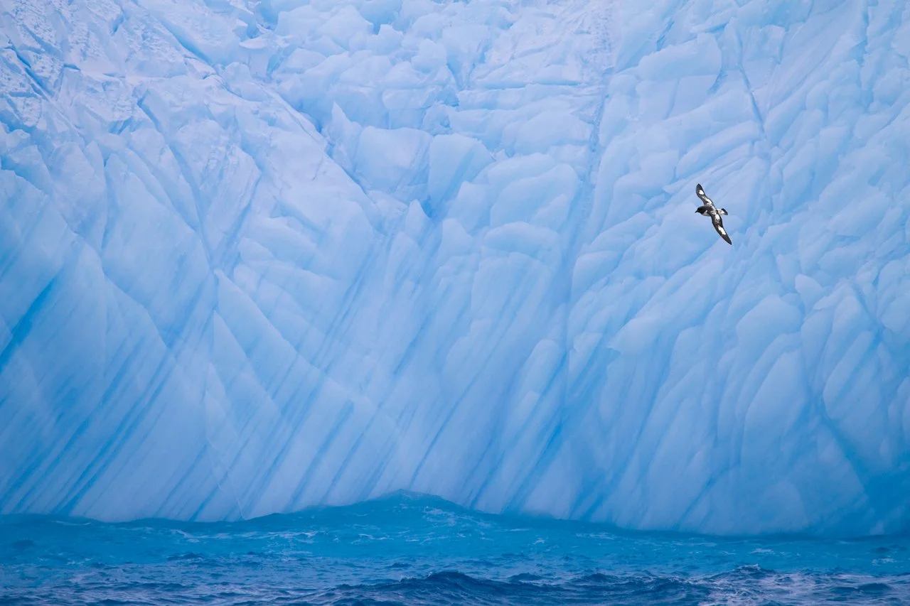 AntarcticaGen 043.jpg