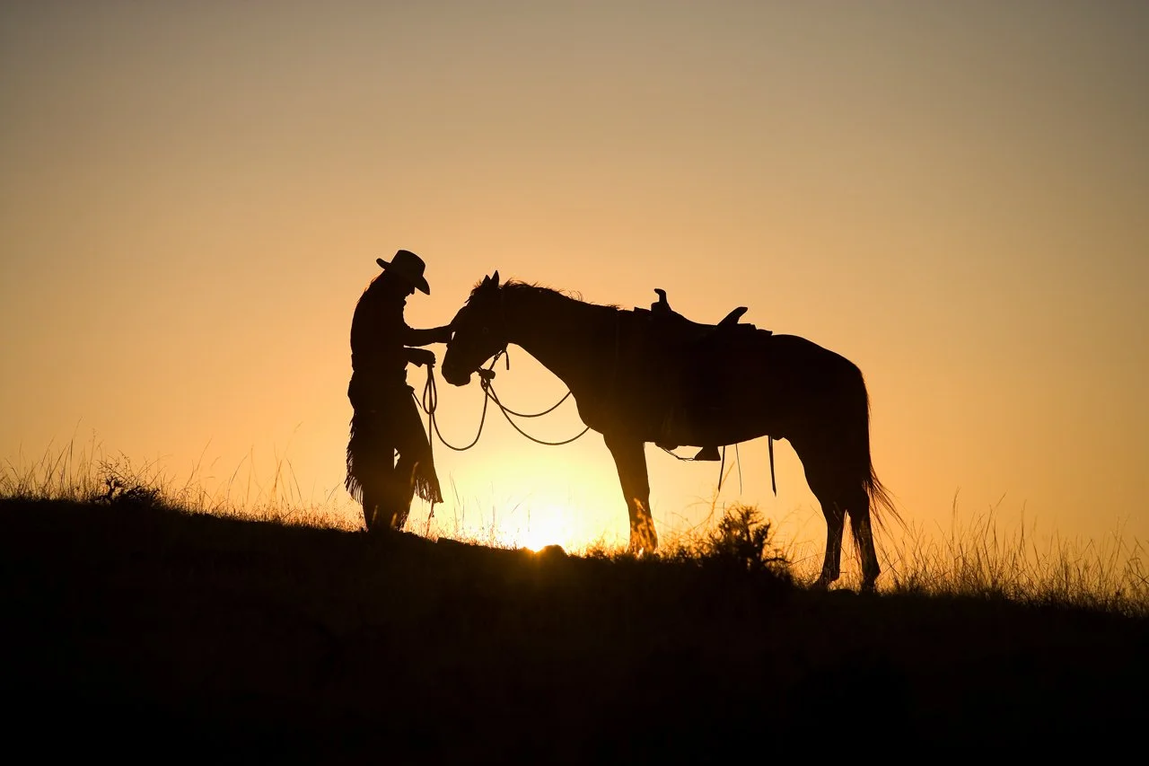 Horses Western 067.jpg