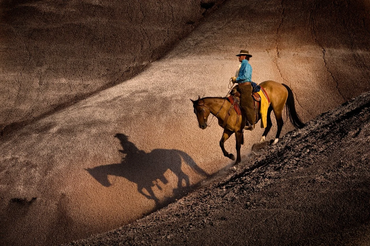 Horses Western 098C.jpg