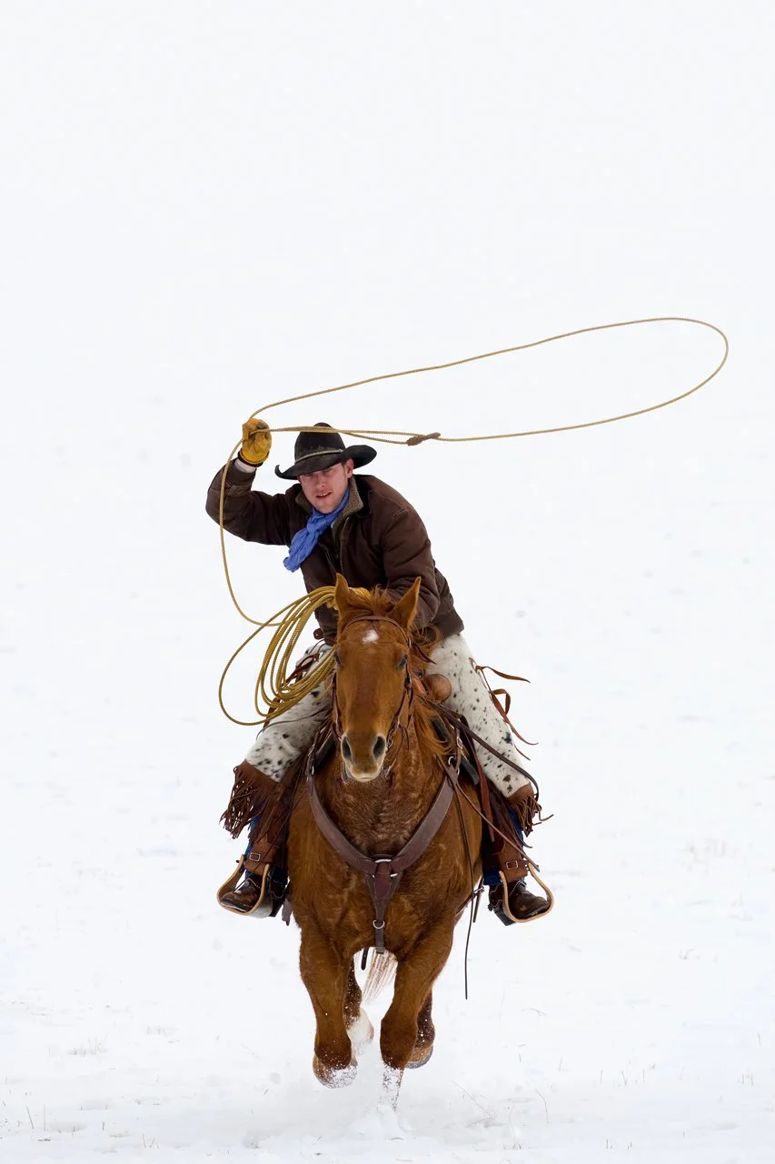 Horses Western 279.jpg