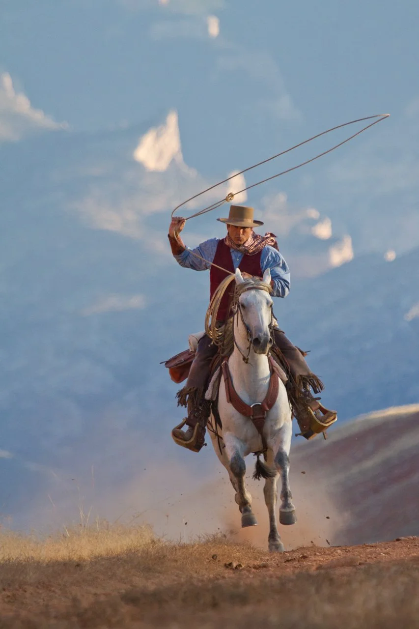 Horses Western 749.jpg