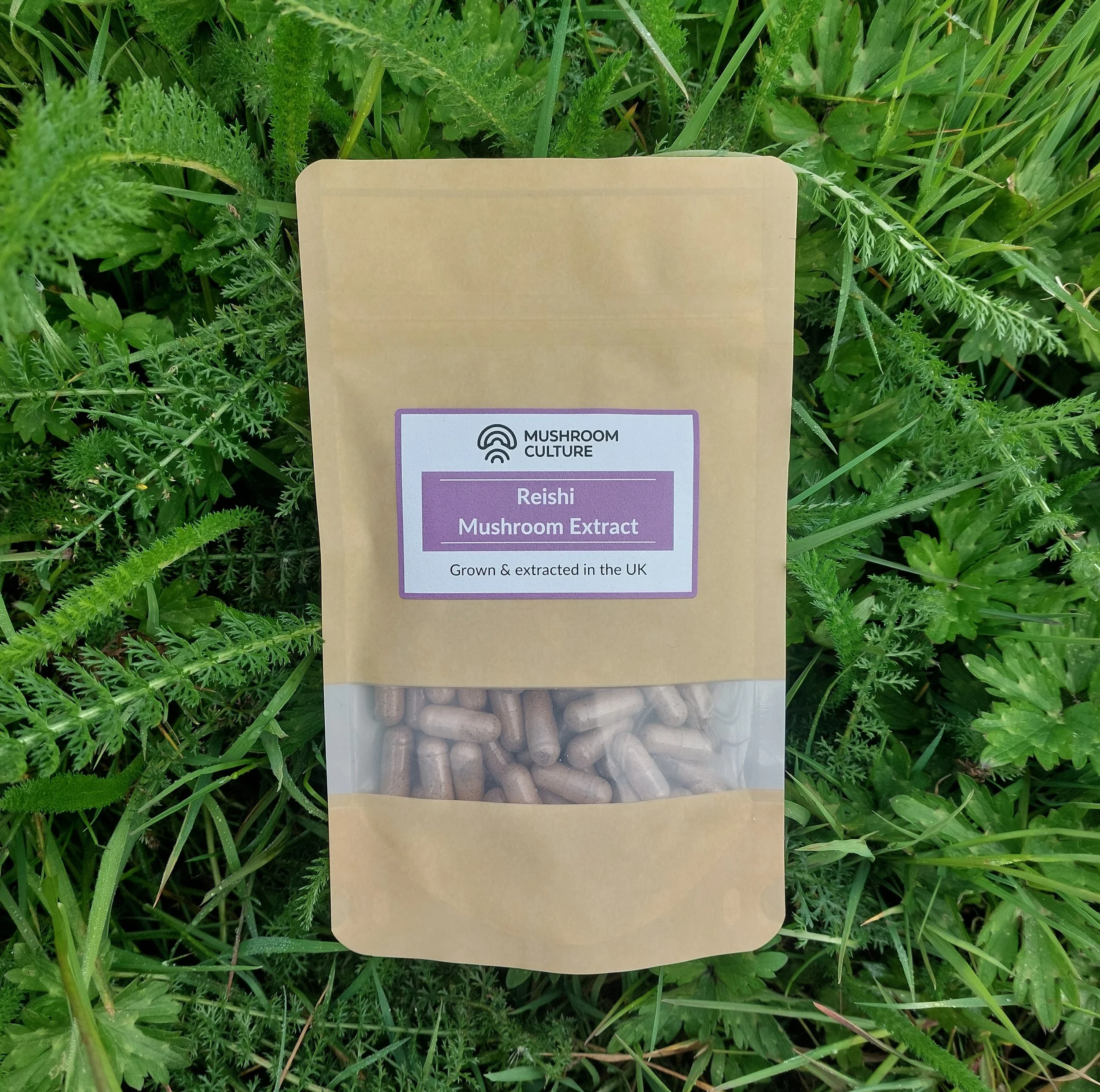 Reishi Extract Capsules