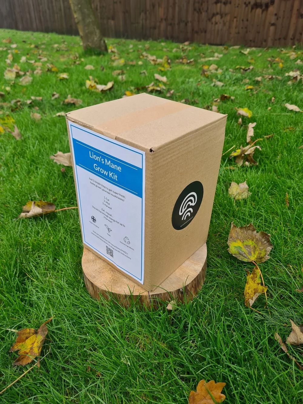 Lion's Mane Mushroom Grow Kit — Mushroom Culture