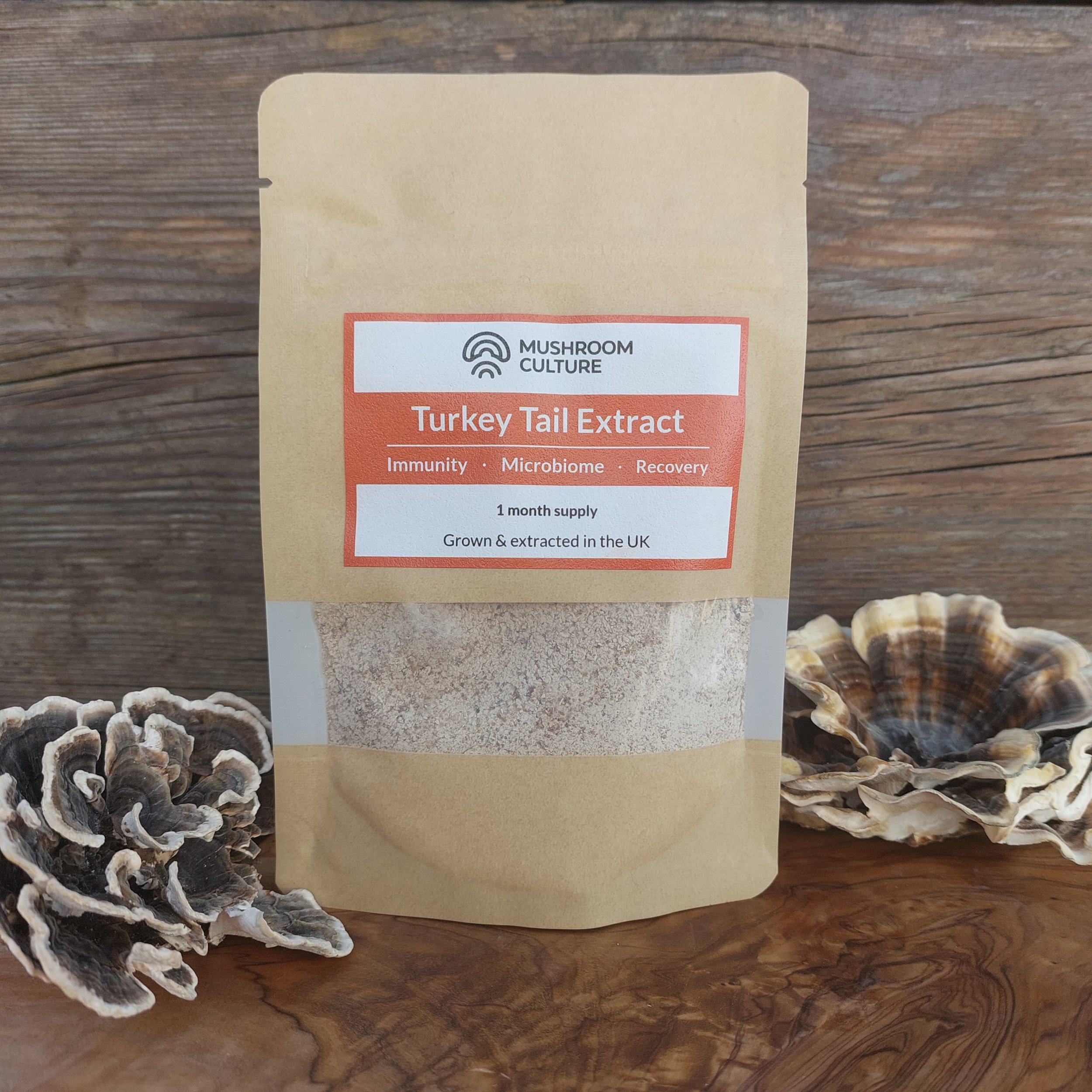 Turkey Tail Extract Powder Front.jpg