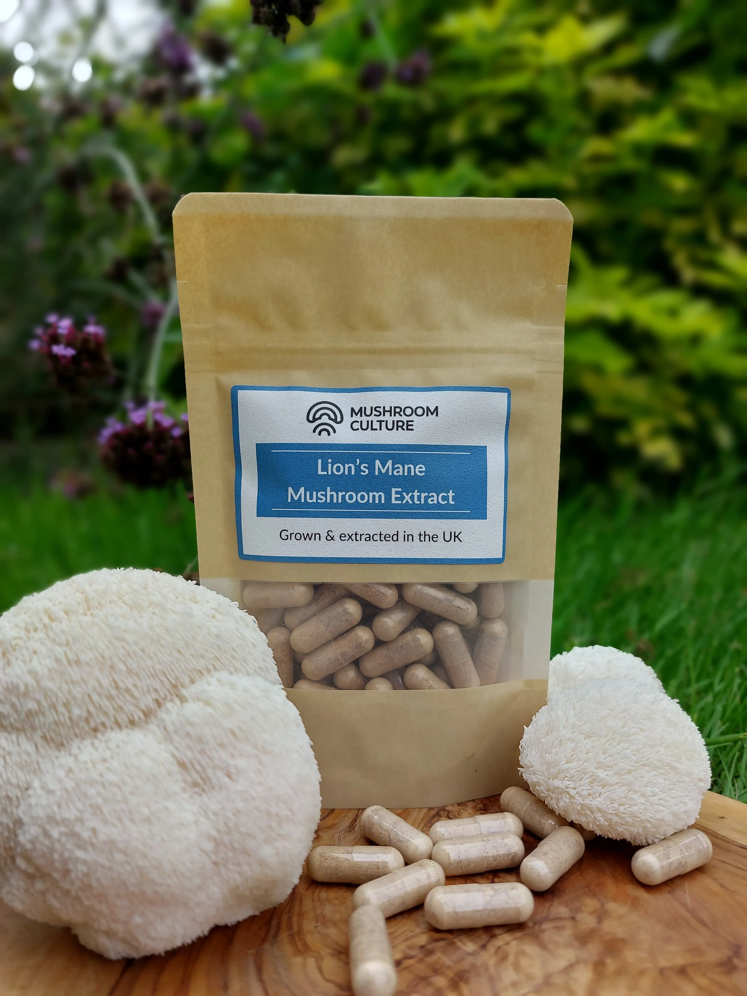 Lions Mane Mushroom Dual-Extract Capsules, made in the UK
