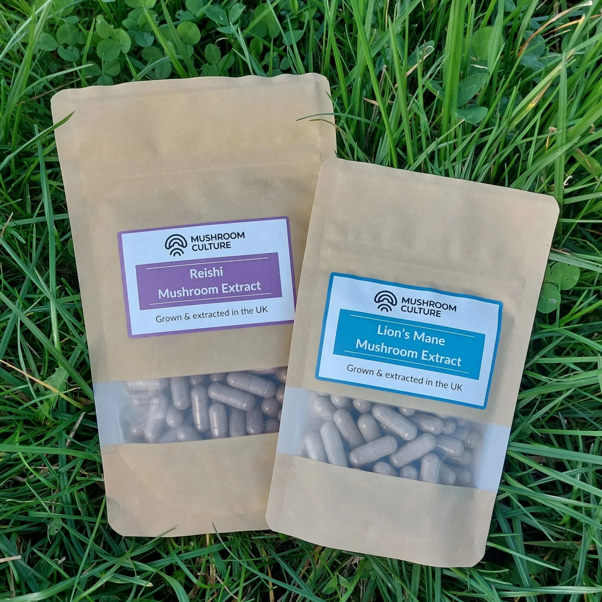 Lion's Mane & Reishi Bundle (Full-Spectrum)