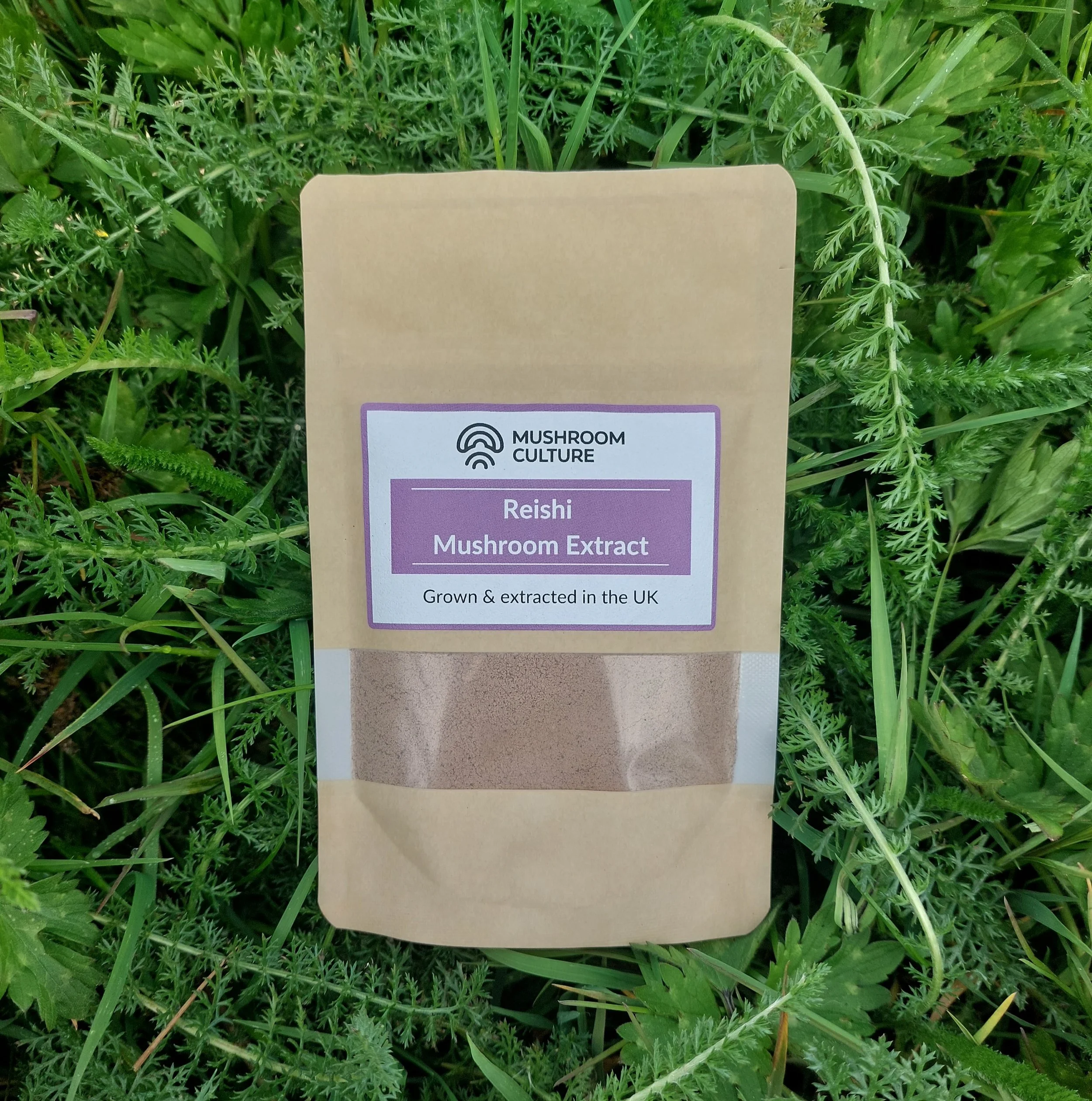 Reishi Extract Powder