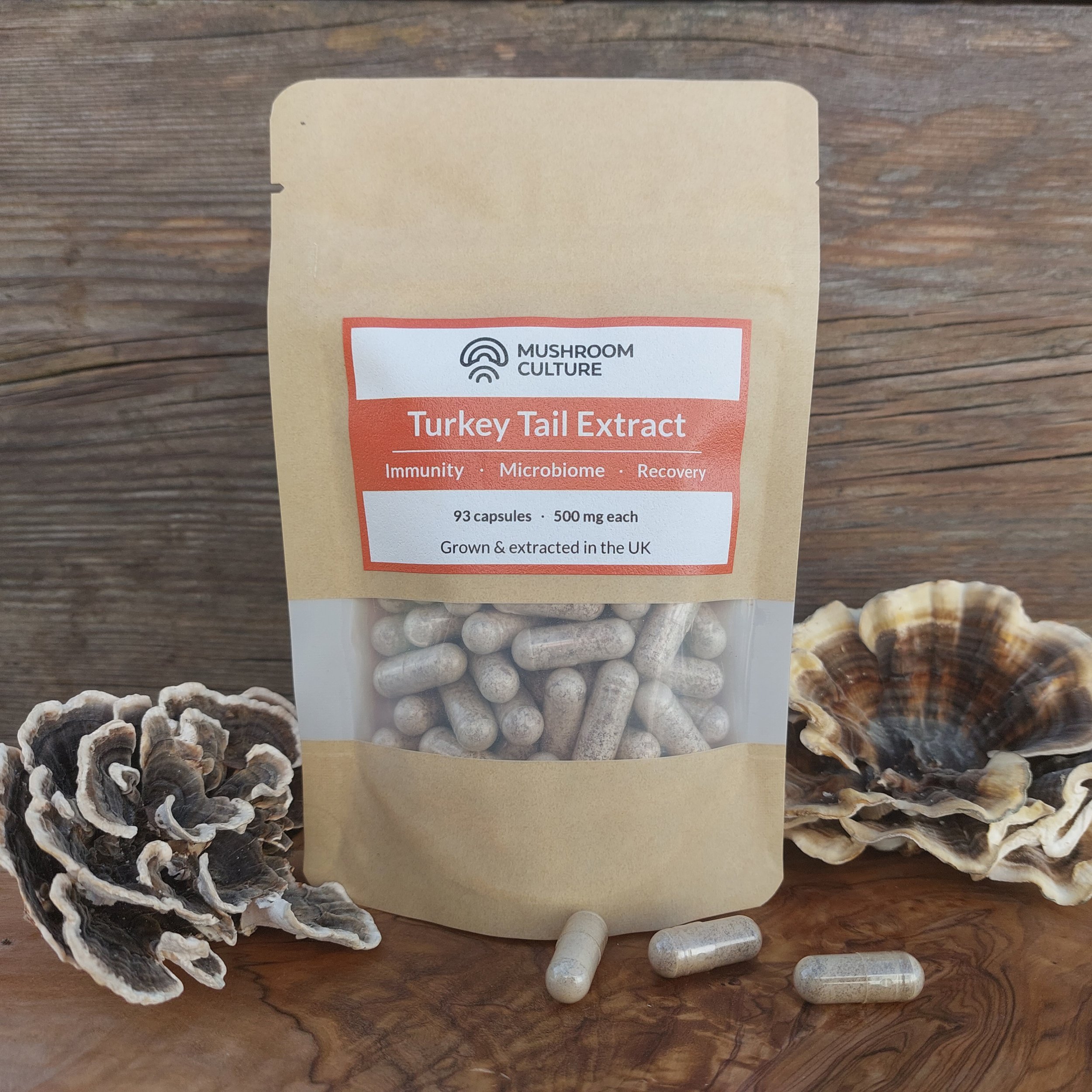 Turkey Tail Extract Capsules Front.jpg
