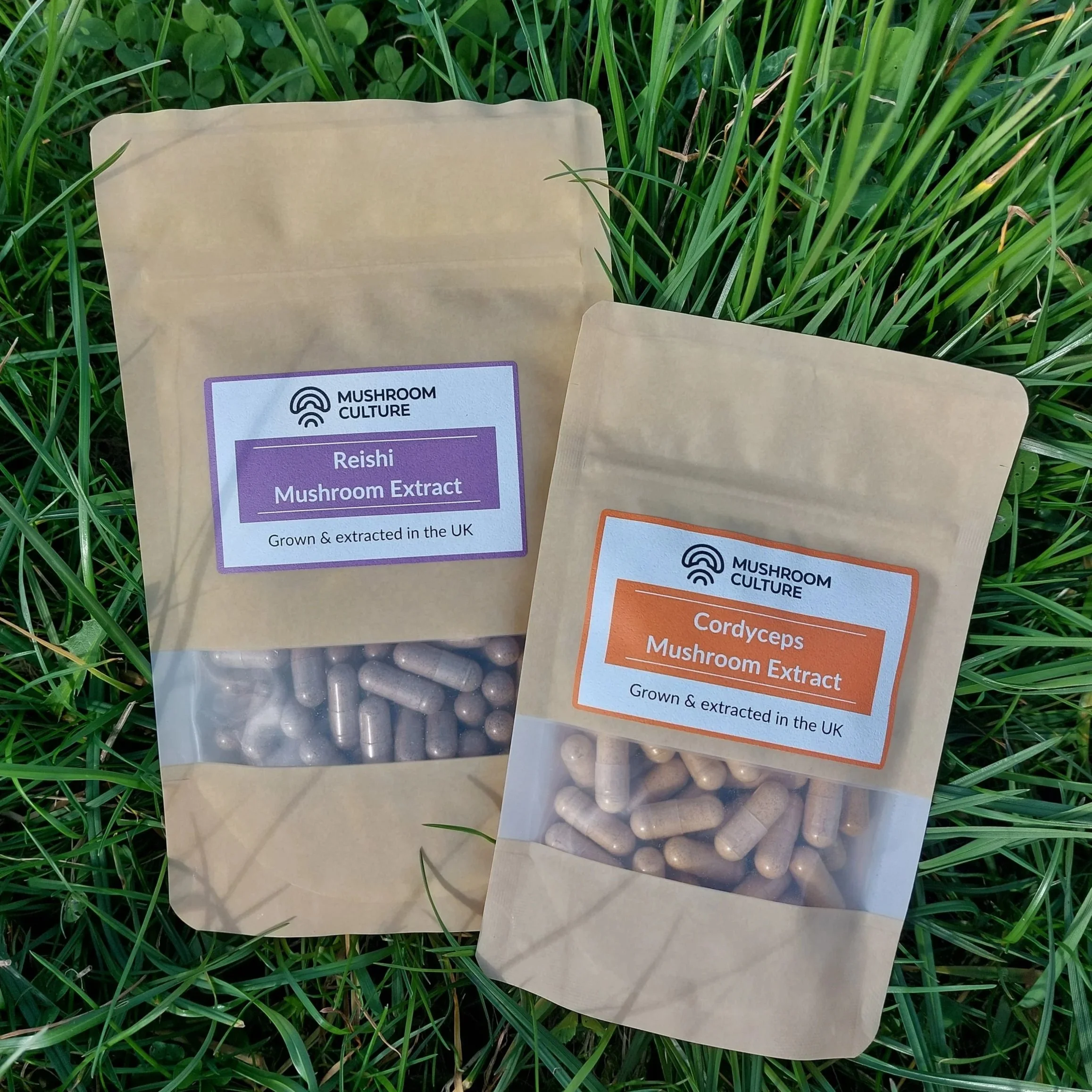 Cordyceps & Reishi Bundle (Full-Spectrum)