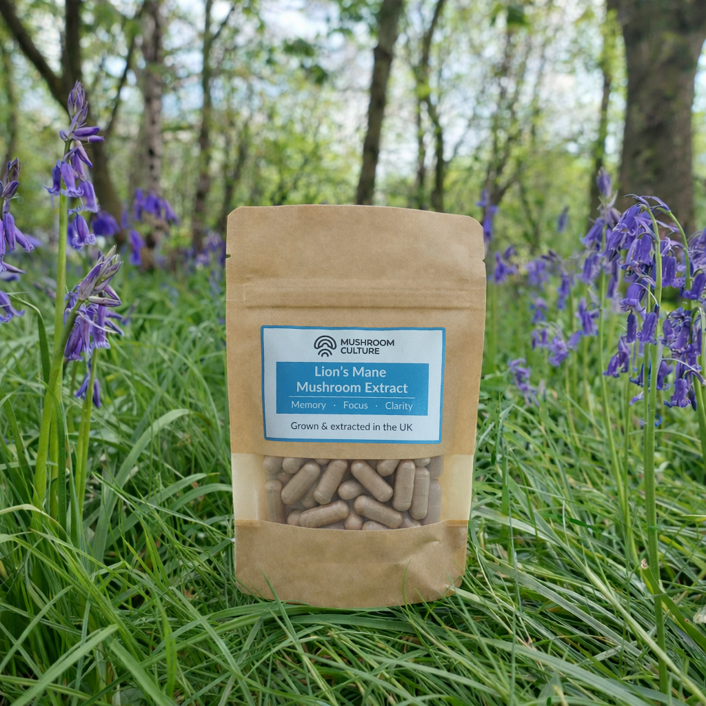 Lion's Mane Extract (Fruiting Body)