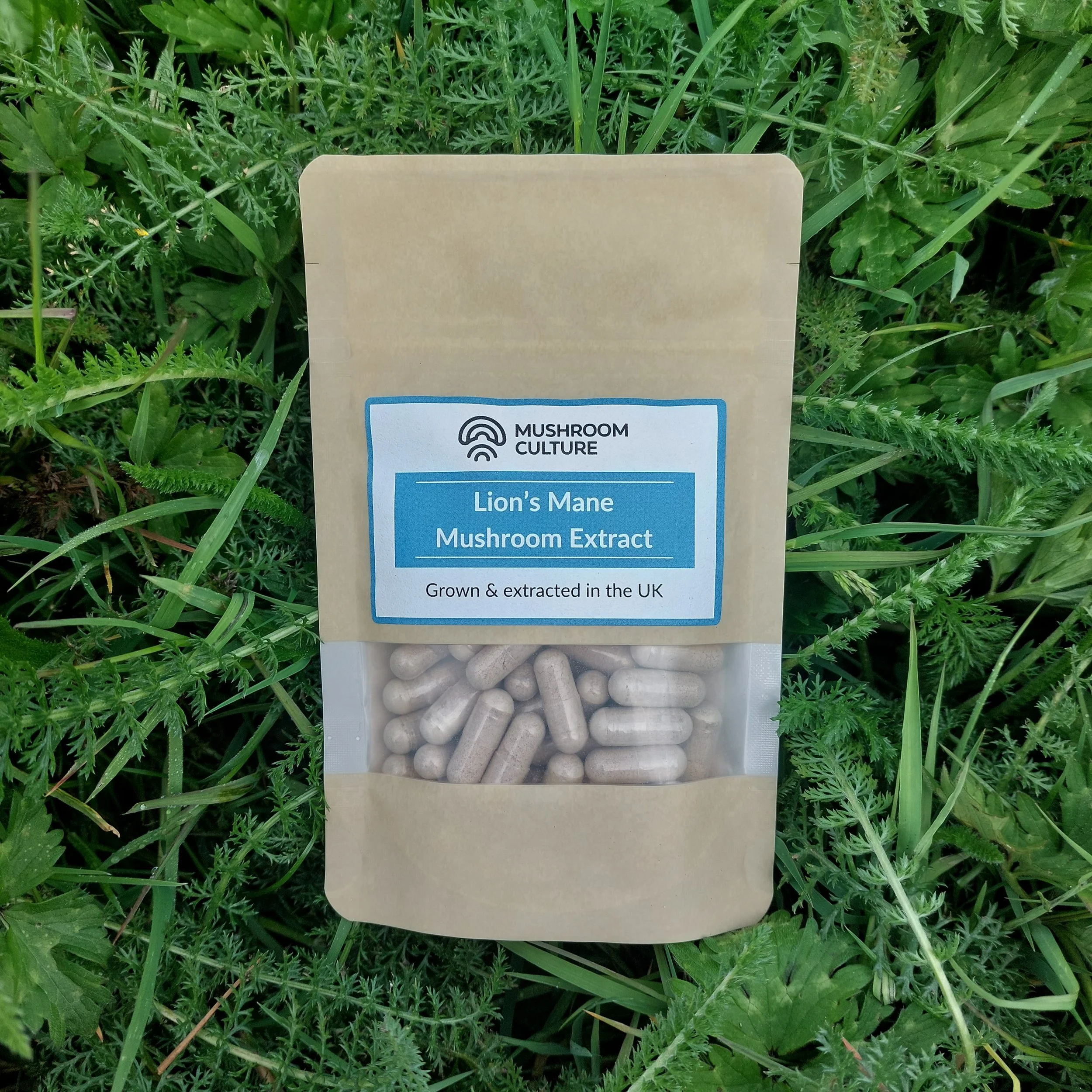 Lion's Mane Extract Capsules