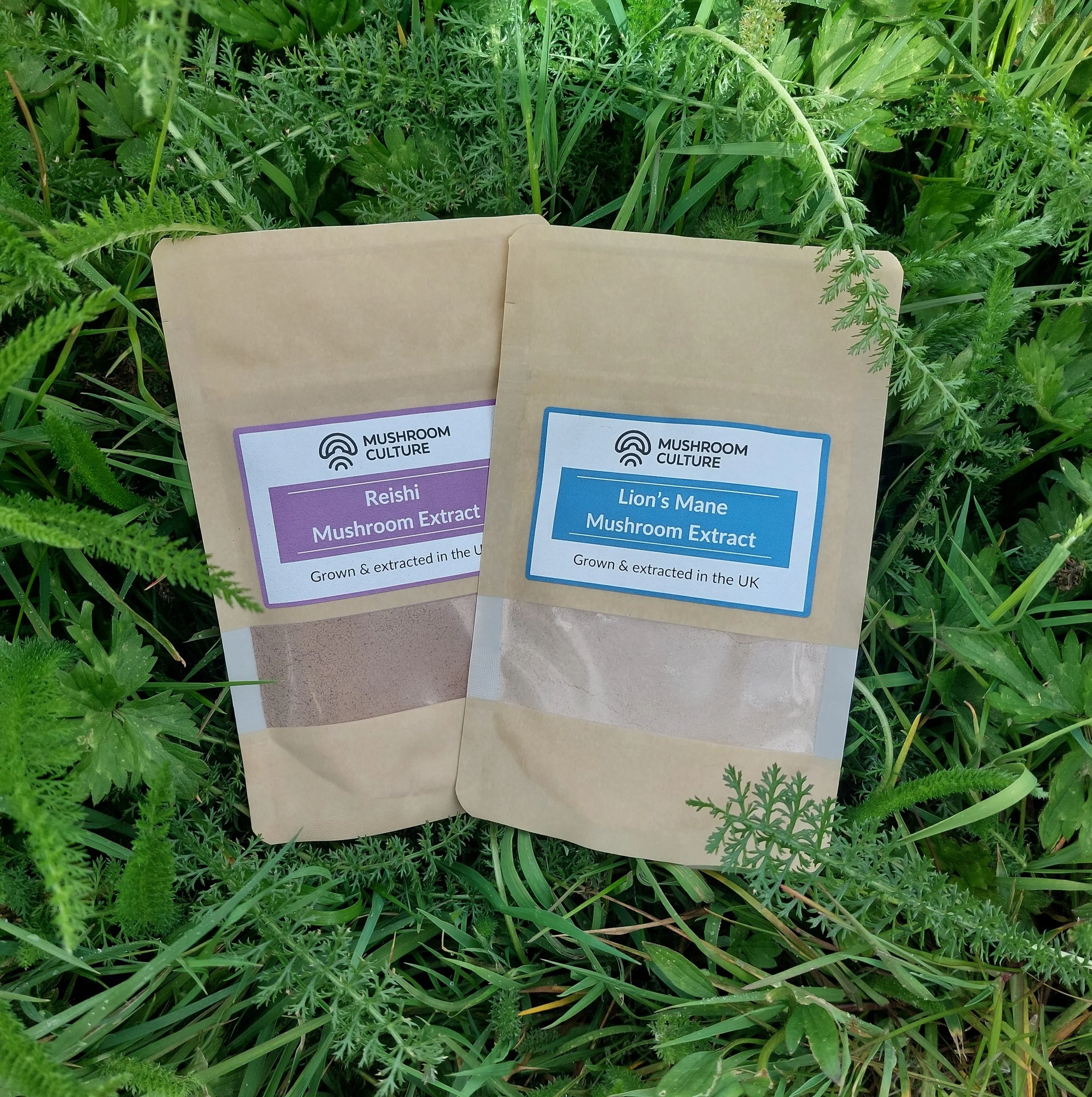 Lion's Mane & Reishi Powder Bundle