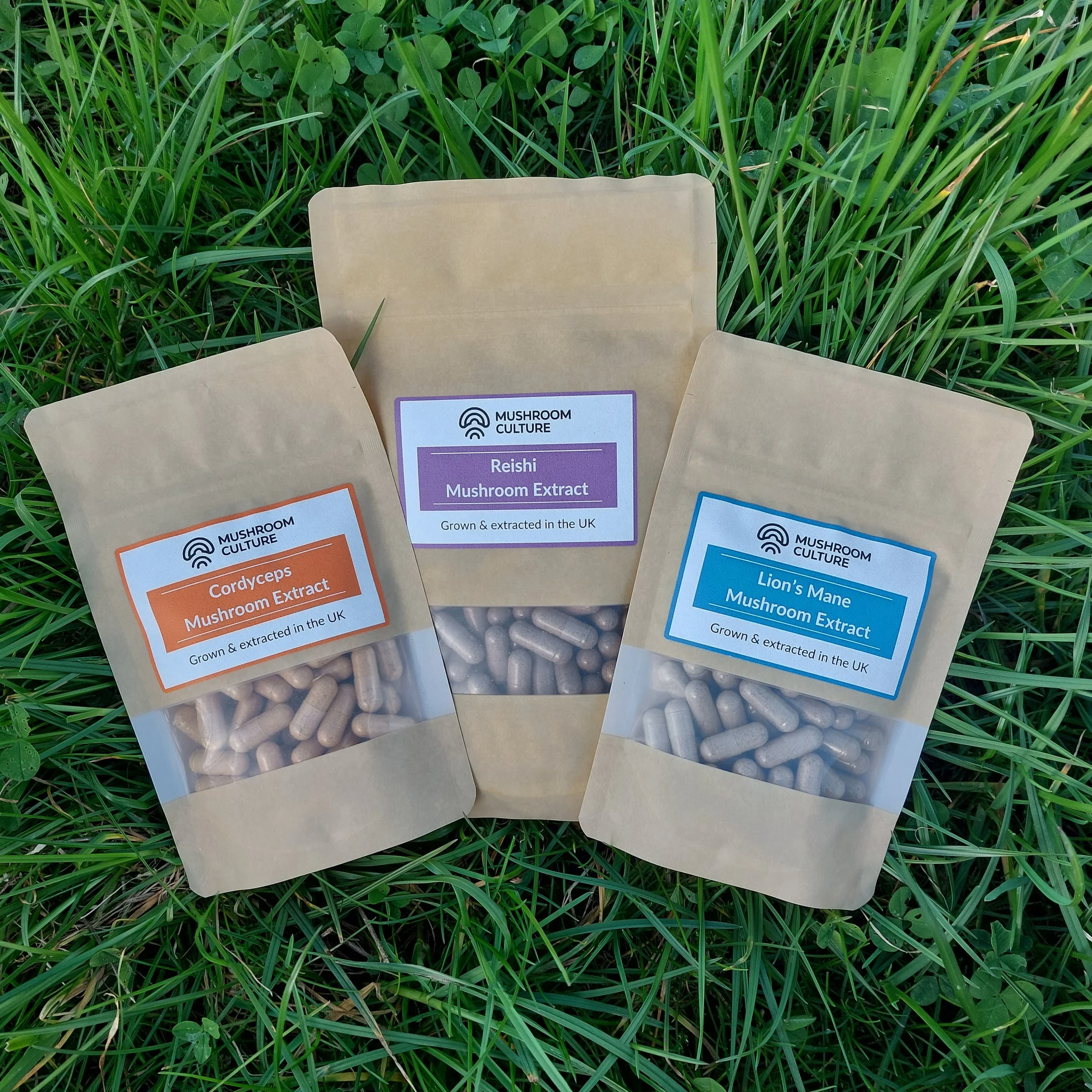 Lion's Mane, Reishi & Cordyceps Bundle (Full-Spectrum)