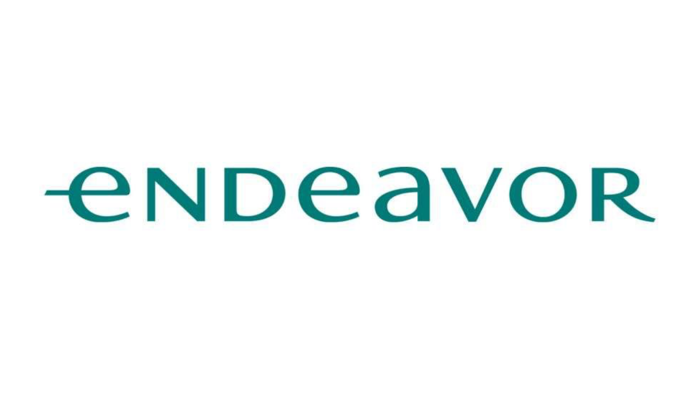 logo partner endeavor.png
