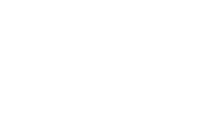 Solve Consulting Group