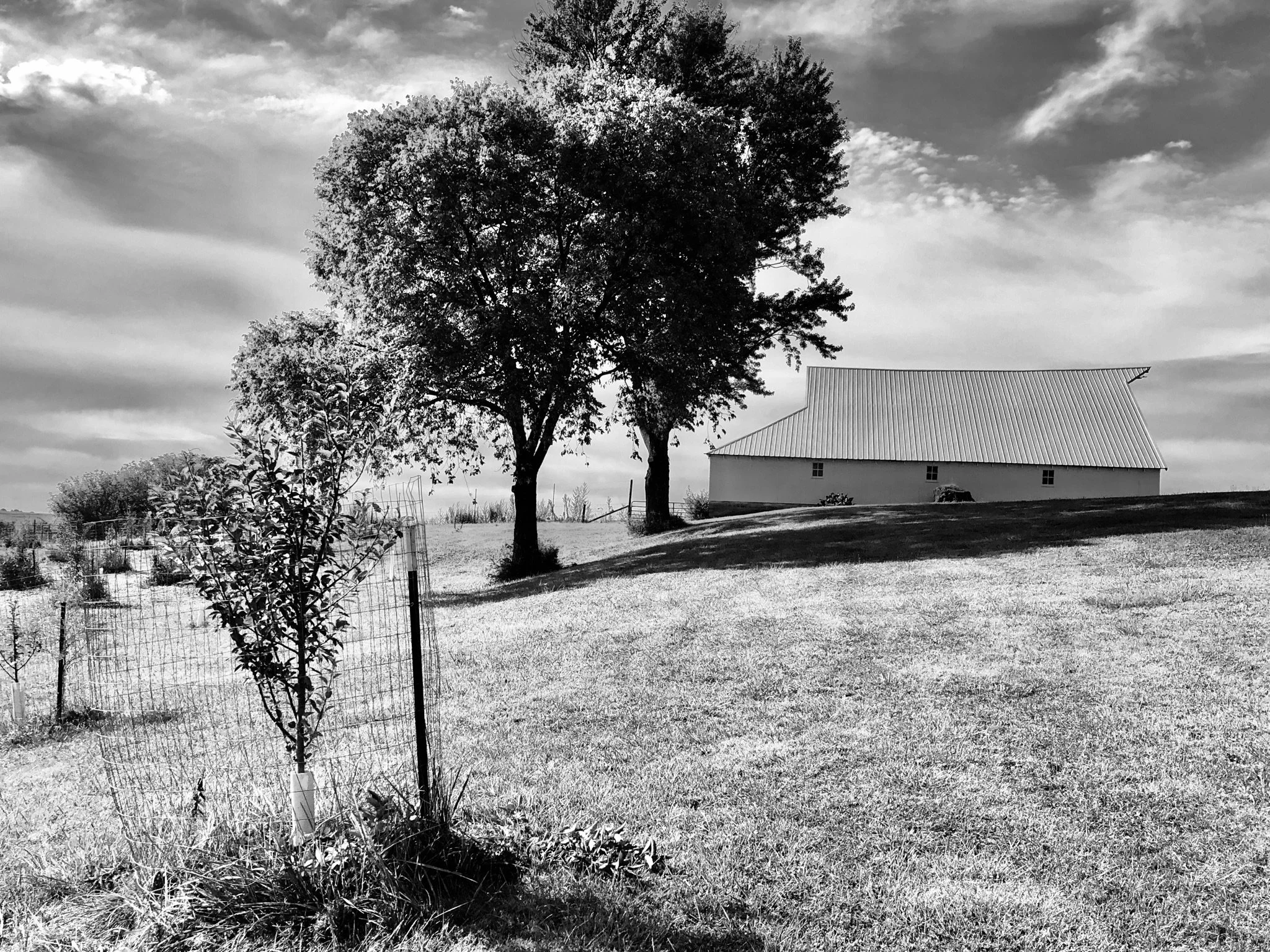 Barn black-white.JPG