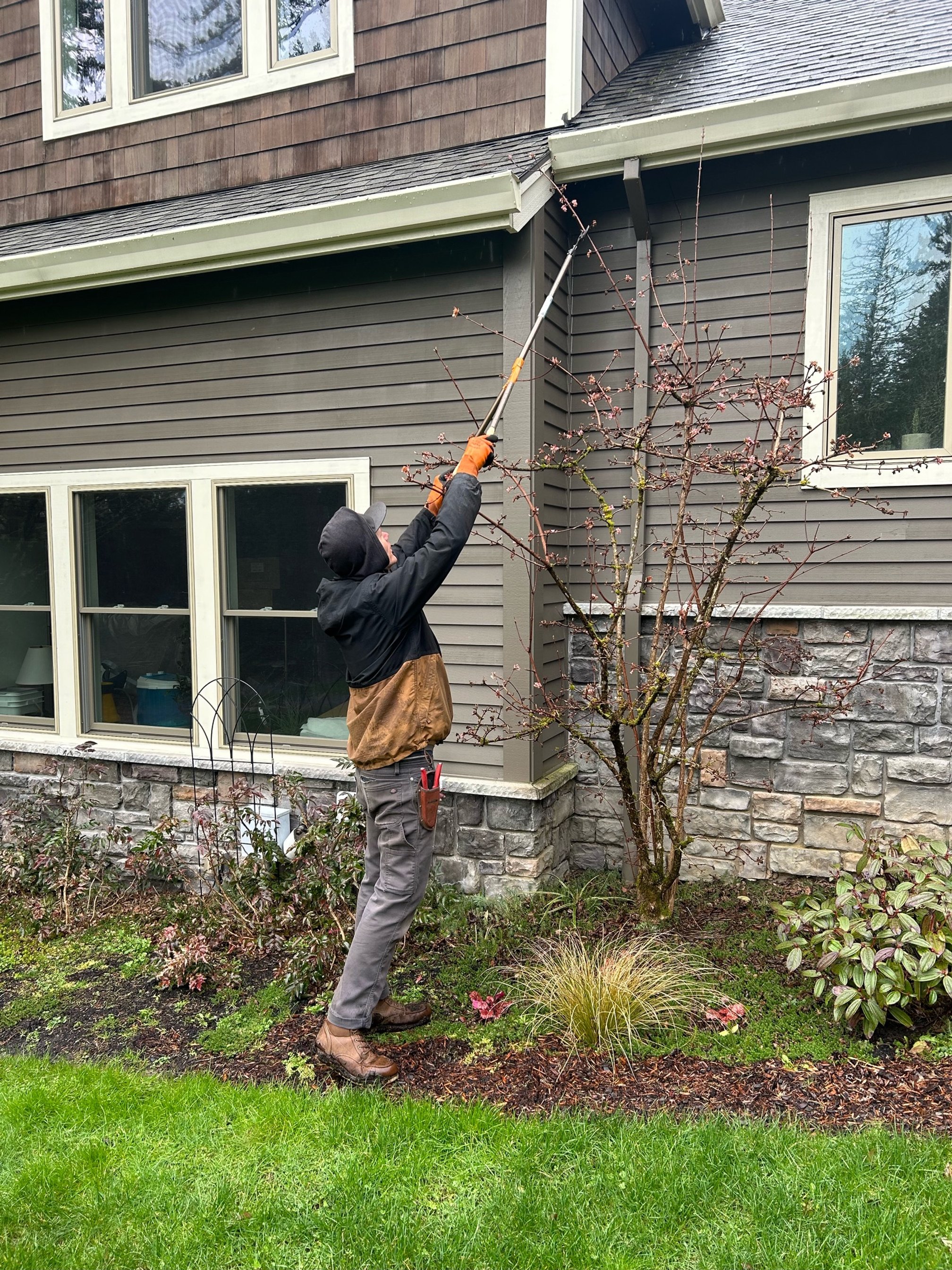 Tree Hedge Trim Eco-Friendly Yard Maintenance Seasonal Clean Ups.jpeg