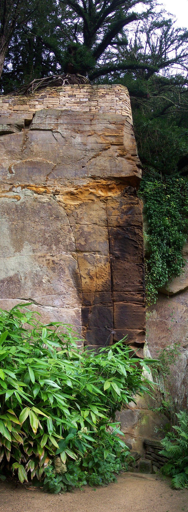 Belsay Hall and Castle, Northumbria - an interesting wall in the quarry garden, perched on a sheer face about 25 feet above the floor. One wonders whether the waller was either a keen abseiler too, or simply a dab hand at the controls of a cherry pic