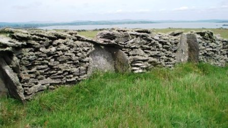 Walls in Southern Ireland (David Perry)