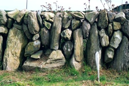 Walls in Southern Ireland (David Perry)