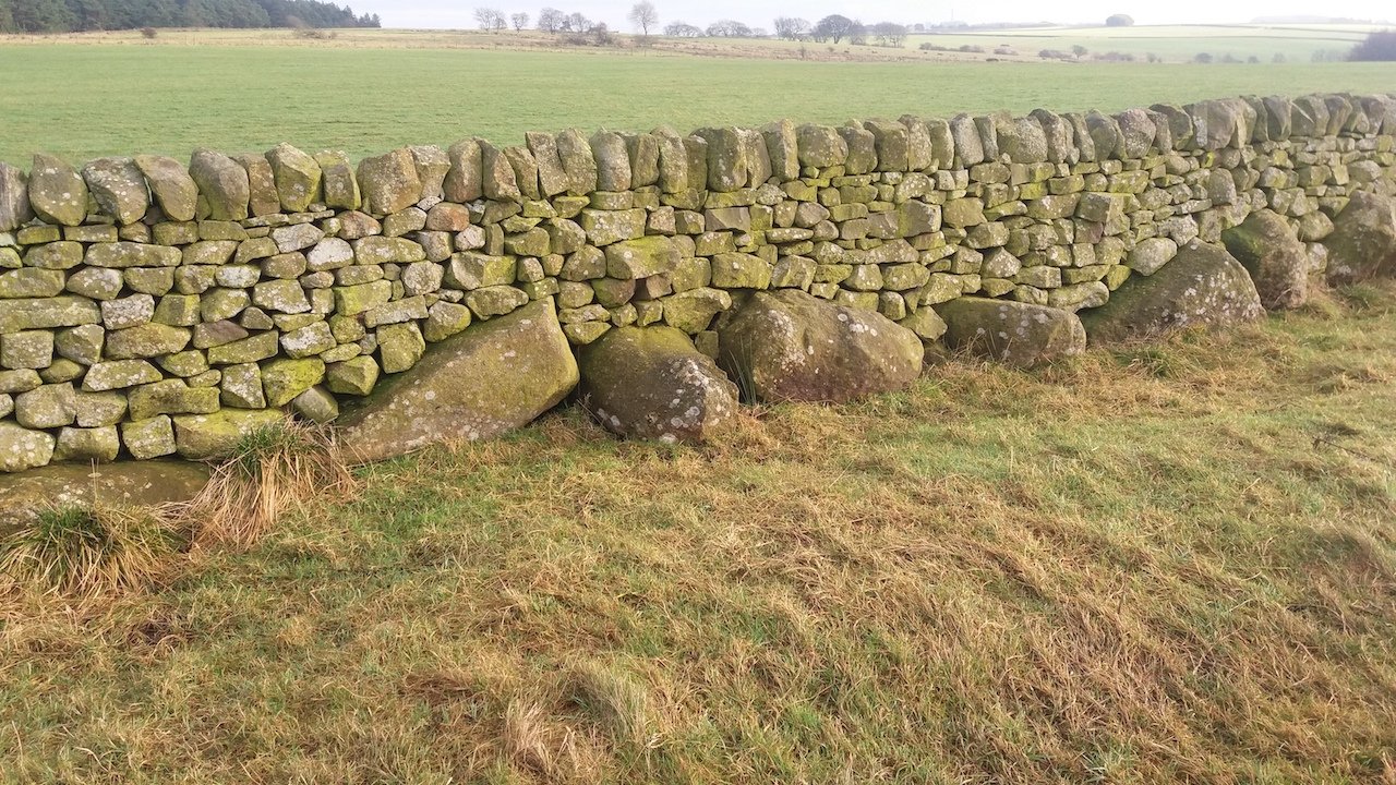 Stainburn Forest, Harrogate - an unusual wall built with orthostat stones, with the gaps in between filled with dry stone walling (John Pridmore)