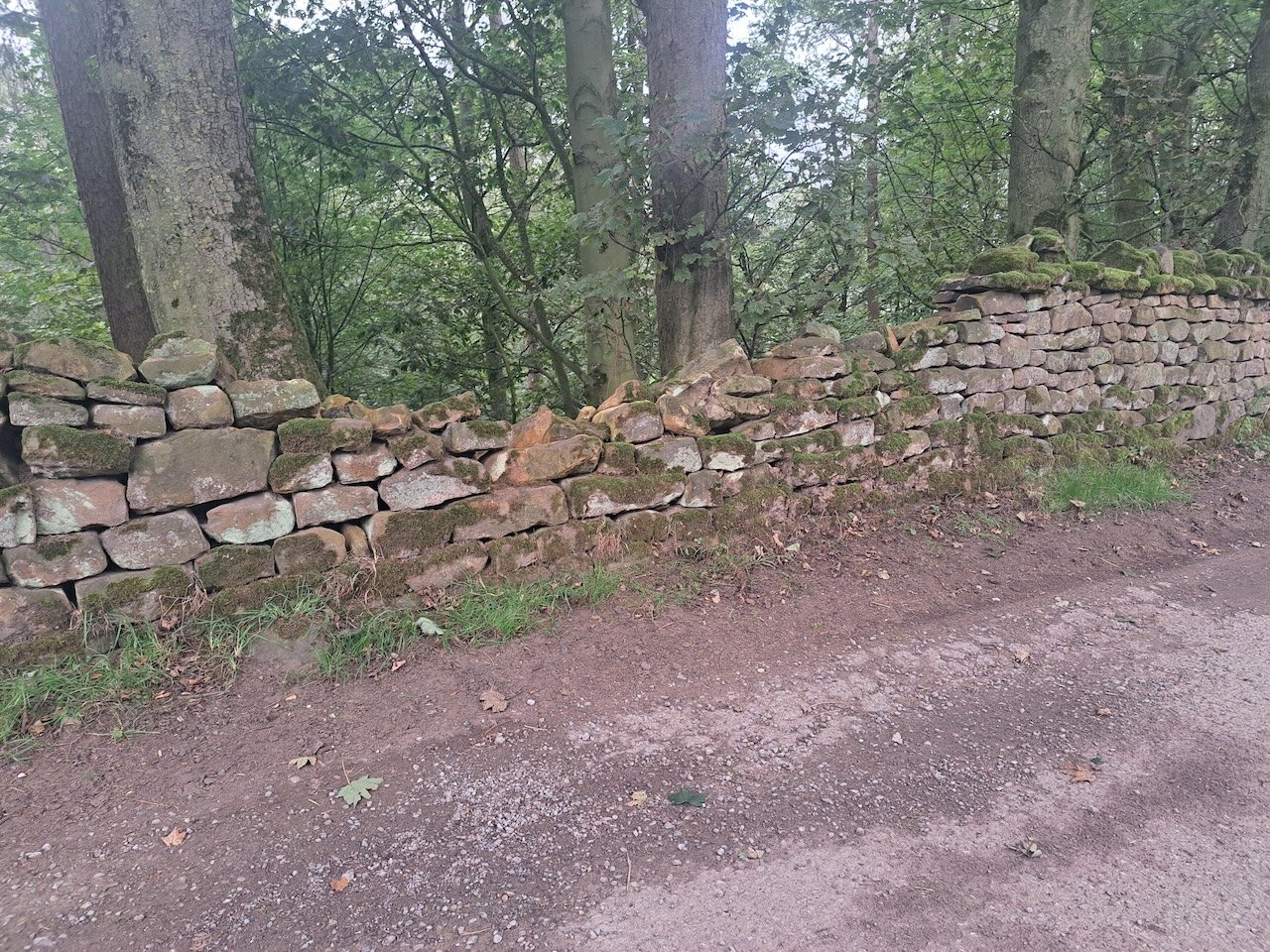 20260913_091345.jpg