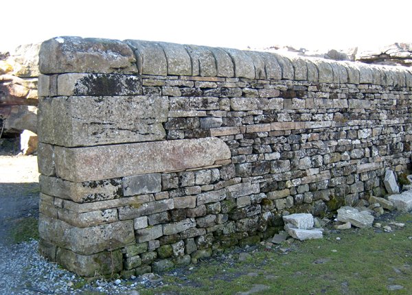 Tan Hill, Swaledale - these pictures show an especially fine piece of walling - someone took a great deal of time over that with not just the immaculate dressing to follow the shape of the batter, but the nice finish to the top stones as well. A trul