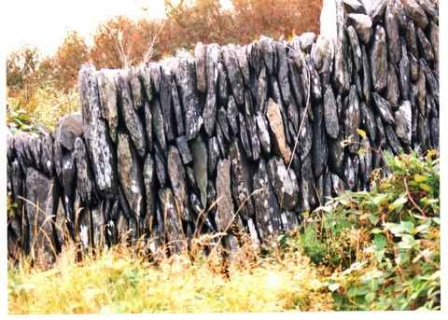 Walls in Southern Ireland (David Perry)
