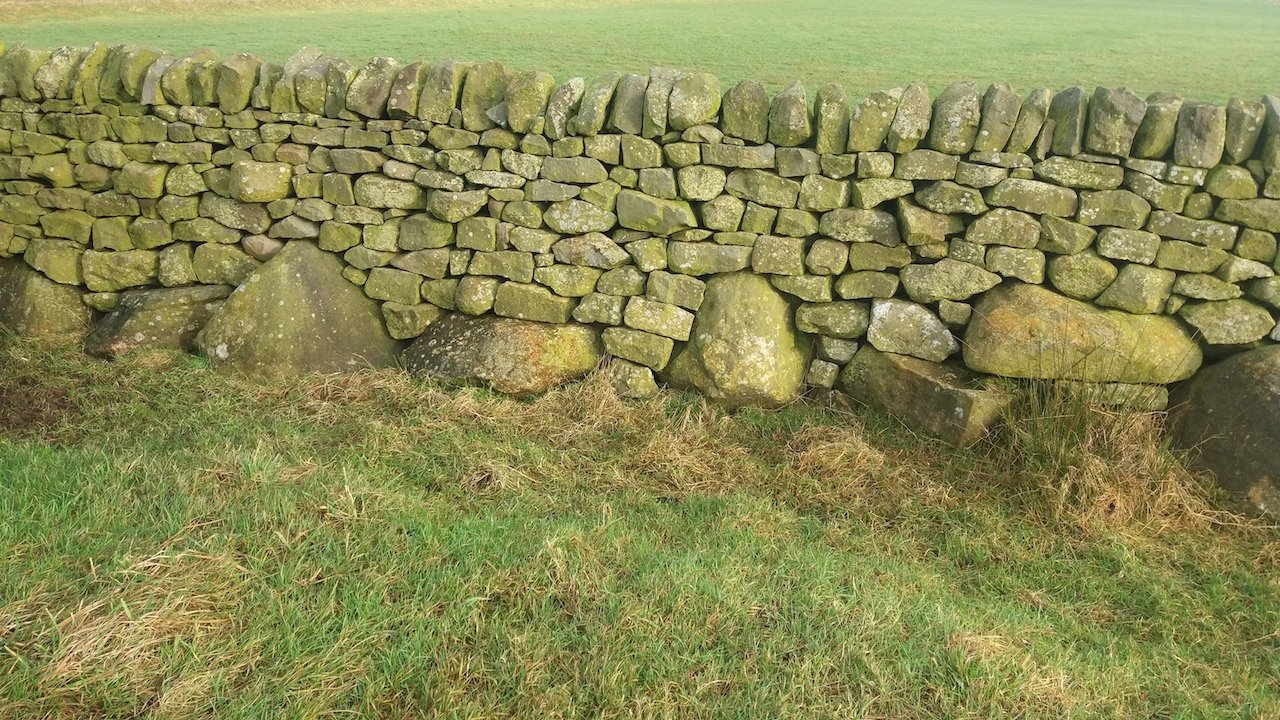 Stainburn Forest, Harrogate - an unusual wall built with orthostat stones, with the gaps in between filled with dry stone walling (John Pridmore)