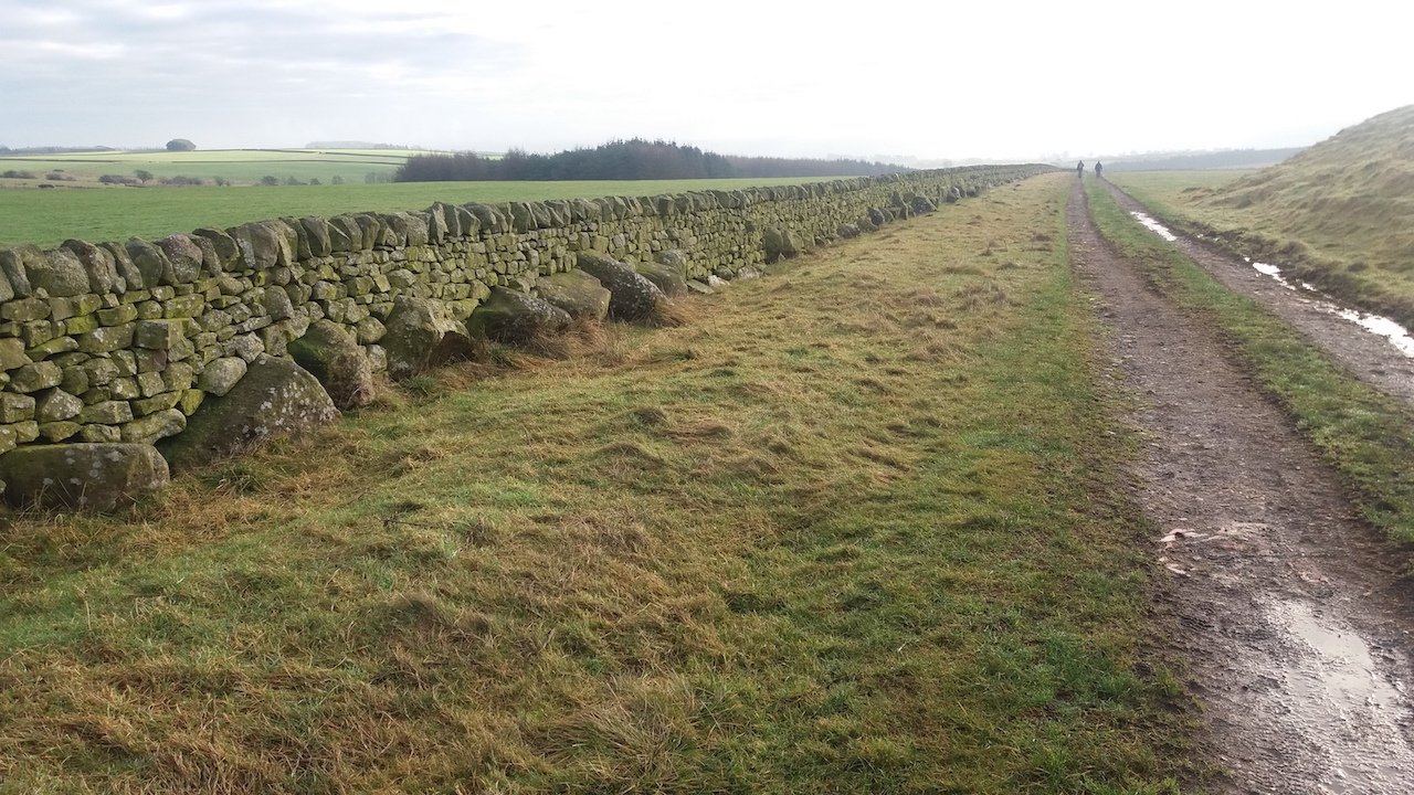 Stainburn Forest, Harrogate - an unusual wall built with orthostat stones, with the gaps in between filled with dry stone walling (John Pridmore)