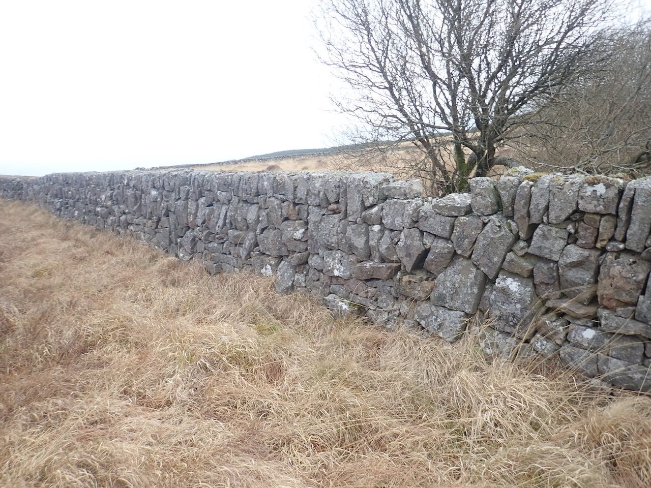 Spotted in Galloway in Scotland, an interesting take on Scottish single skin walls built by sub-contractors for Scottish Water (Dave Purvis)