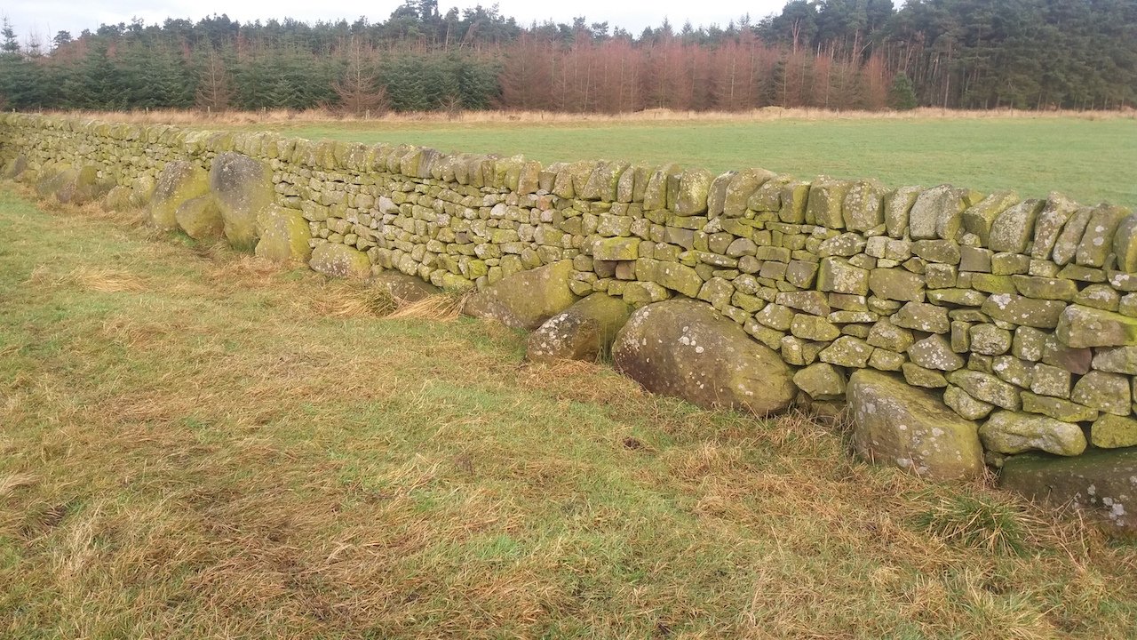 Stainburn Forest, Harrogate - an unusual wall built with orthostat stones, with the gaps in between filled with dry stone walling (John Pridmore)