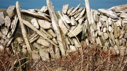 Walls in Southern Ireland (David Perry)