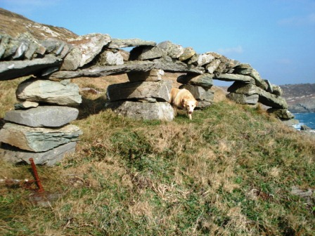 Walls in Southern Ireland (David Perry)