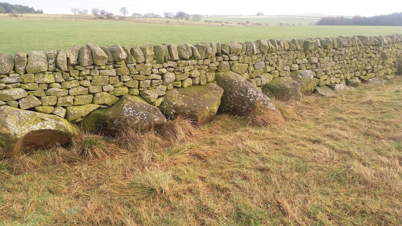 Stainburn Forest, Harrogate - an unusual wall built with orthostat stones, with the gaps in between filled with dry stone walling (John Pridmore)