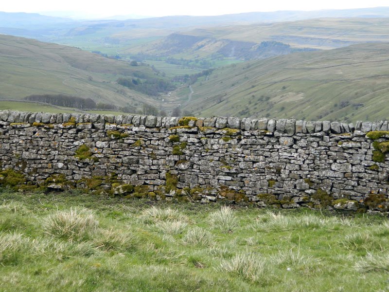 Great Whernside - view down the valley to Kettlewell (Molly Pridmore)