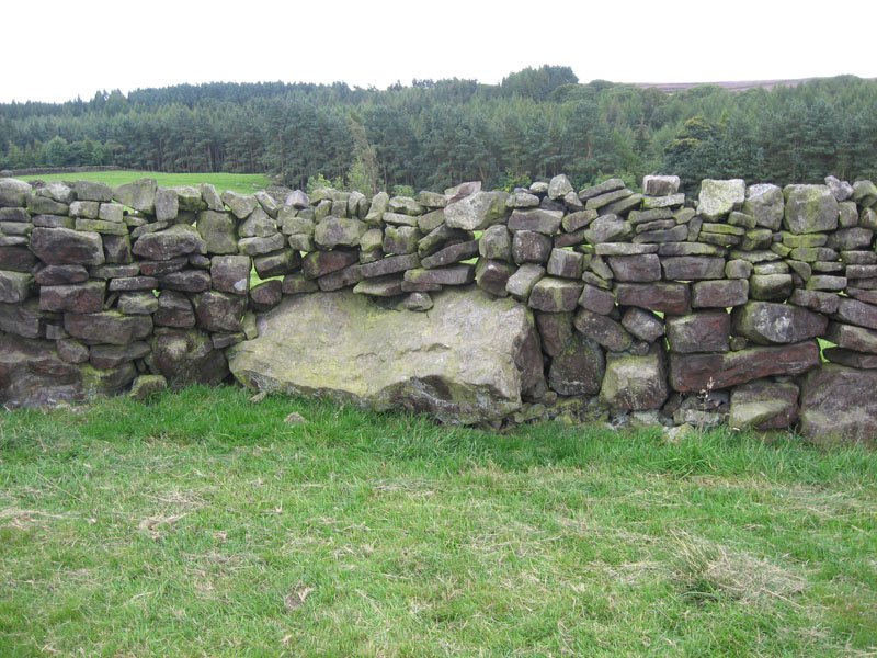 Orthostats - typical ancient walls, the large stones are Orthostats - standing stones, and are too large to move in the absence of mechanical aids - so it was customary to take the wall to the stone, rather than the other way around! (John Pridmore)