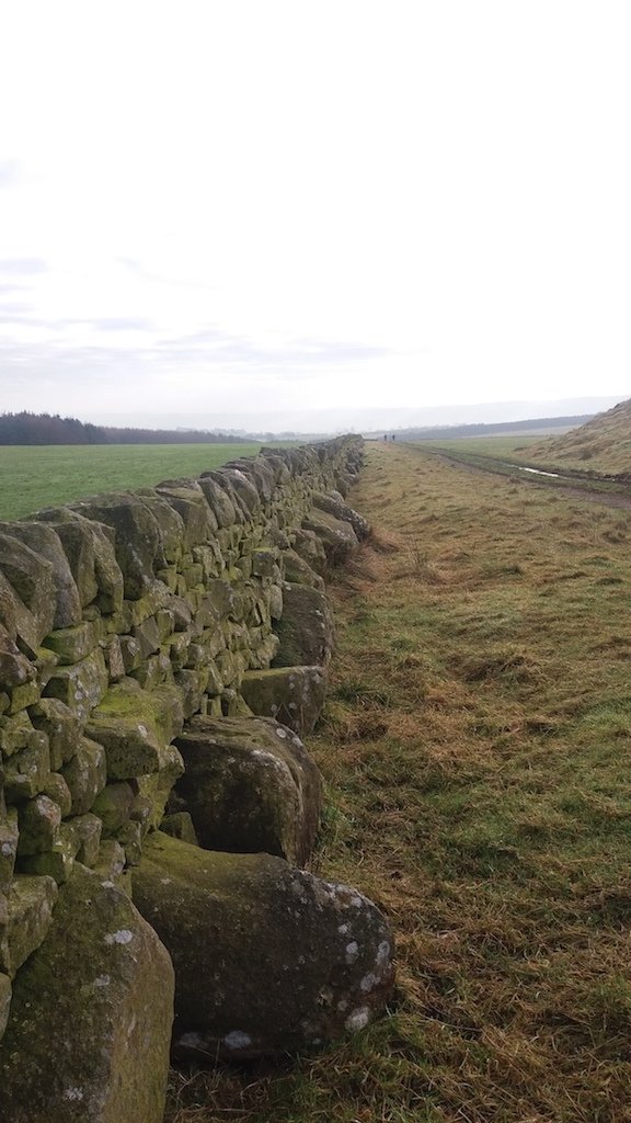 Stainburn Forest, Harrogate - an unusual wall built with orthostat stones, with the gaps in between filled with dry stone walling (John Pridmore)