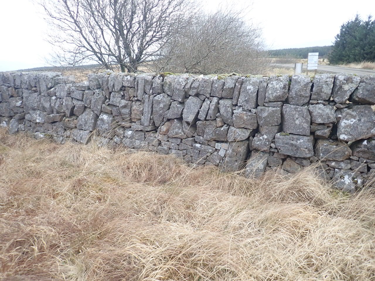Spotted in Galloway in Scotland, an interesting take on Scottish single skin walls built by sub-contractors for Scottish Water (Dave Purvis)