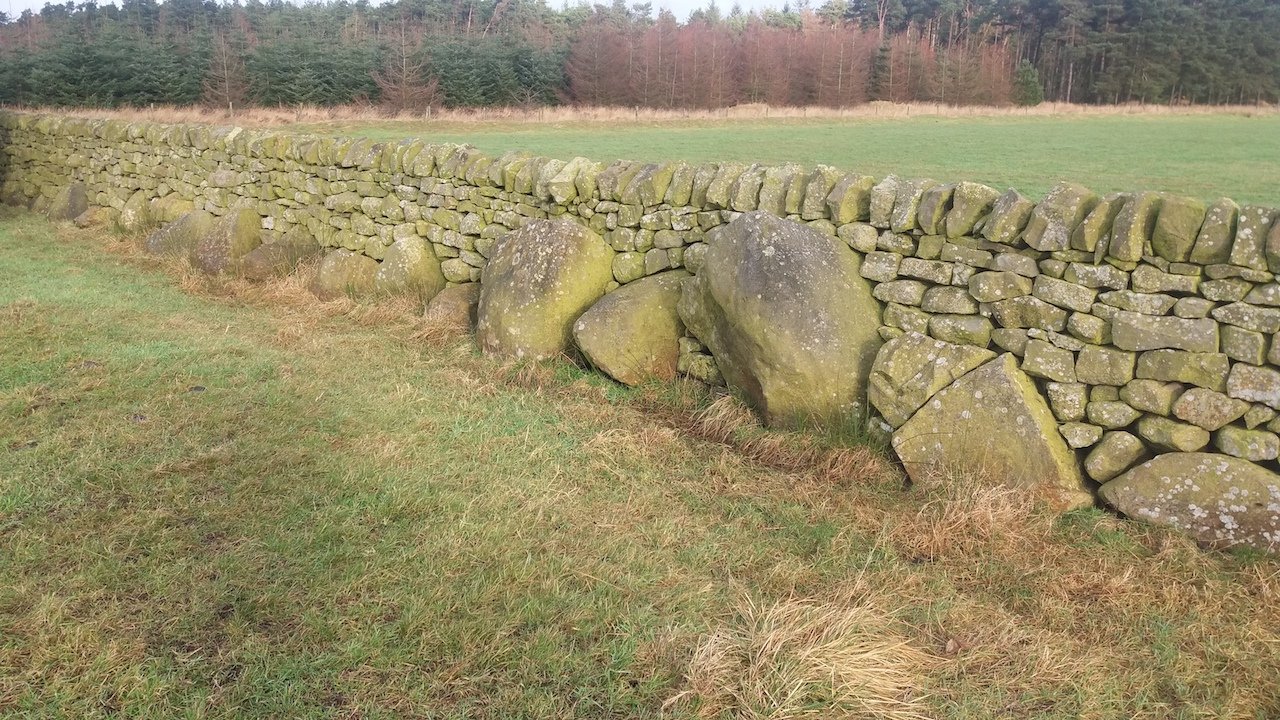 Stainburn Forest, Harrogate - an unusual wall built with orthostat stones, with the gaps in between filled with dry stone walling (John Pridmore)
