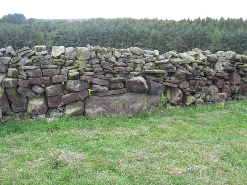 Orthostats - typical ancient walls, the large stones are Orthostats - standing stones, and are too large to move in the absence of mechanical aids - so it was customary to take the wall to the stone, rather than the other way around! (John Pridmore)