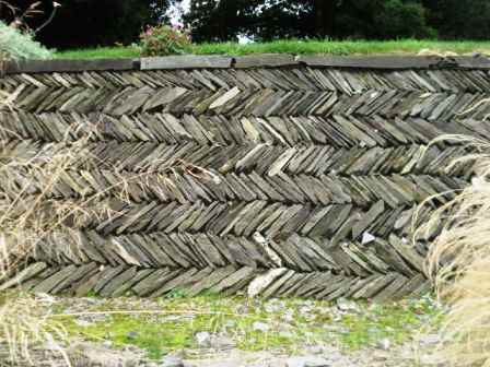 Walls in Southern Ireland (David Perry)