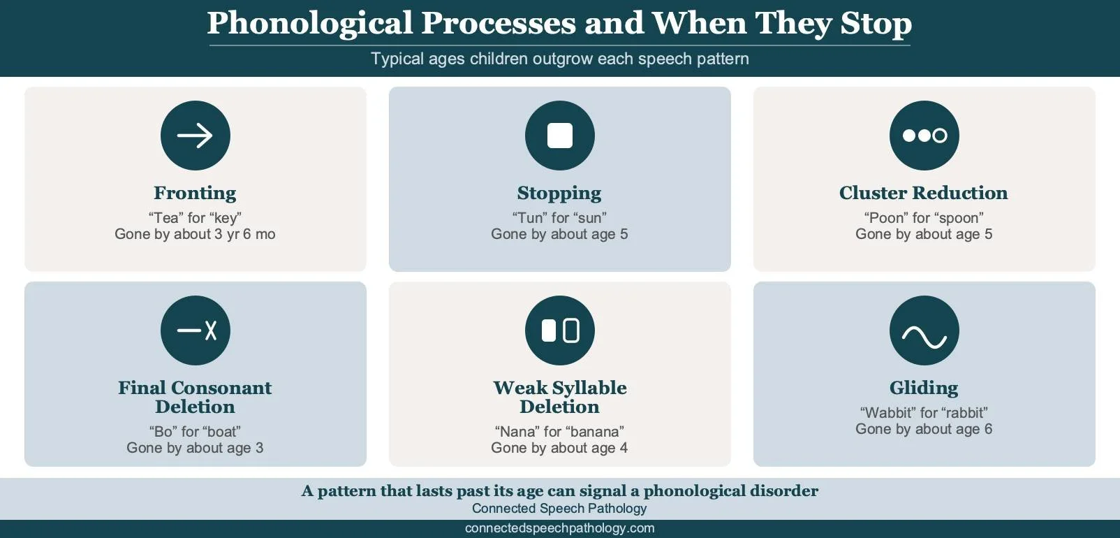 Phonological processing disorder infographic showing common phonological processes and the age each one should stop, including fronting, stopping, cluster reduction, and gliding.