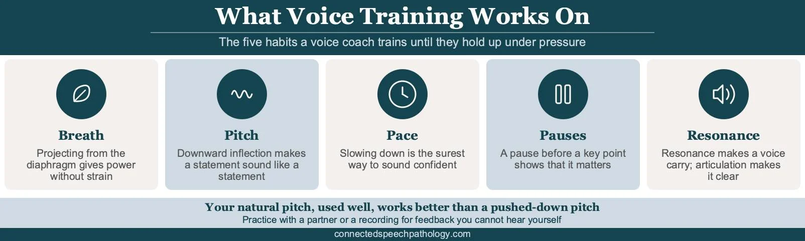 Executive voice coaching infographic: the five levers a voice coach trains, from breath and pitch to pace, pauses, and resonance